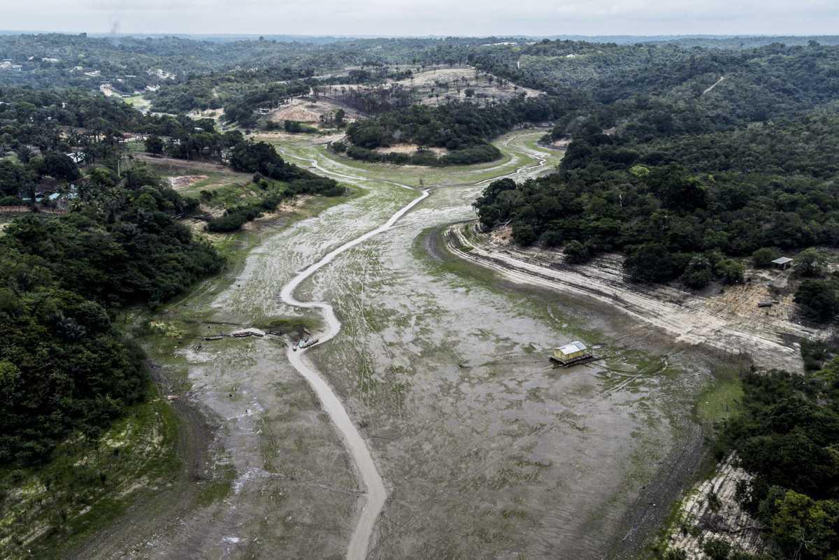 [Focus] - Brésil : La sécheresse amène le fleuve Amazone à des niveaux d'eau minimaux 