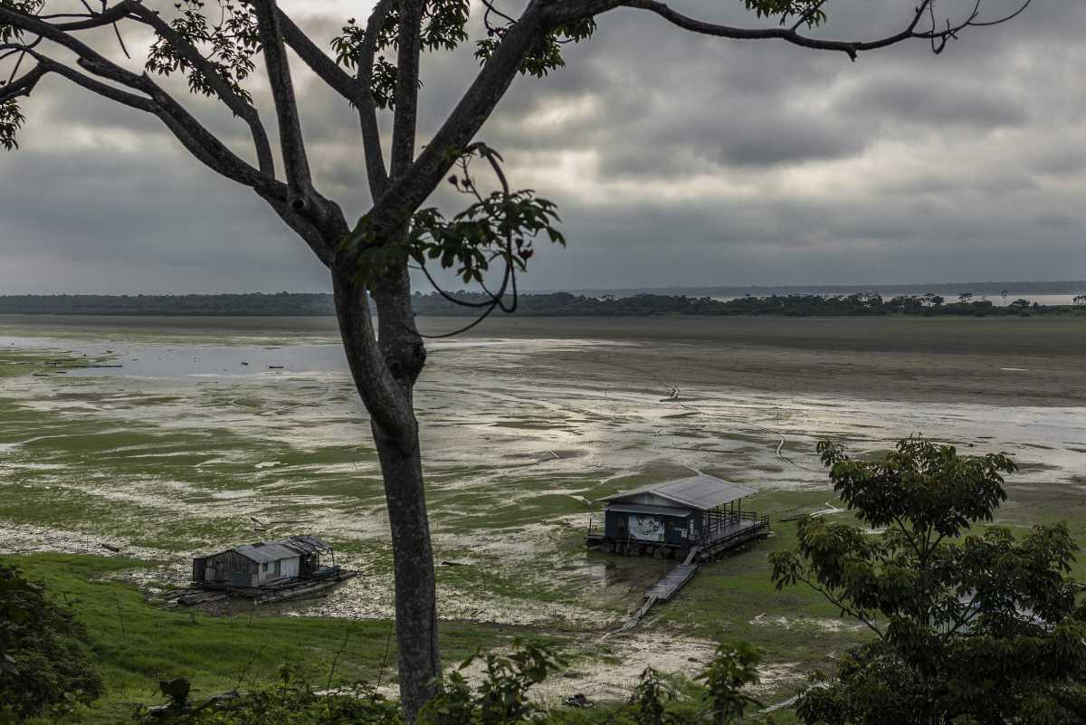 [Focus] - Brésil : La sécheresse amène le fleuve Amazone à des niveaux d'eau minimaux 