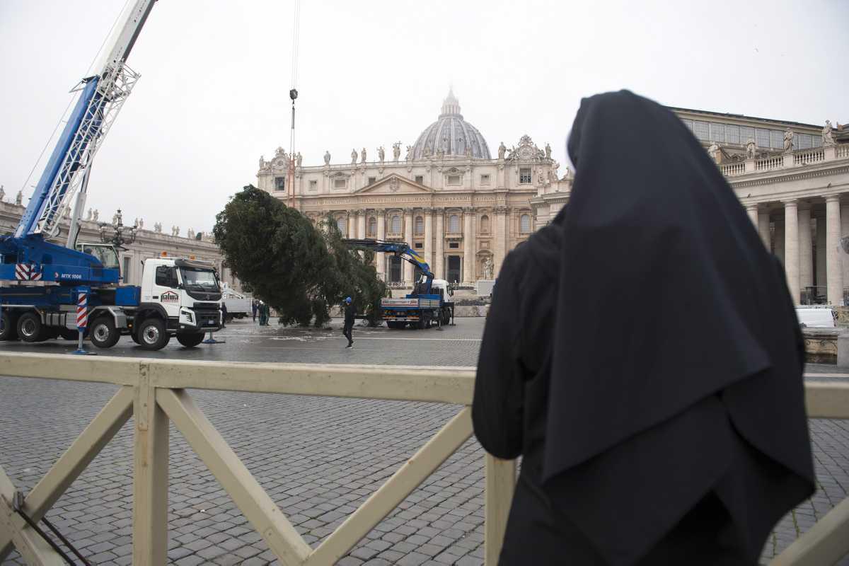 [Focus] - Le Vatican aura bien son arbre de Noël sur la place Saint-Pierre !