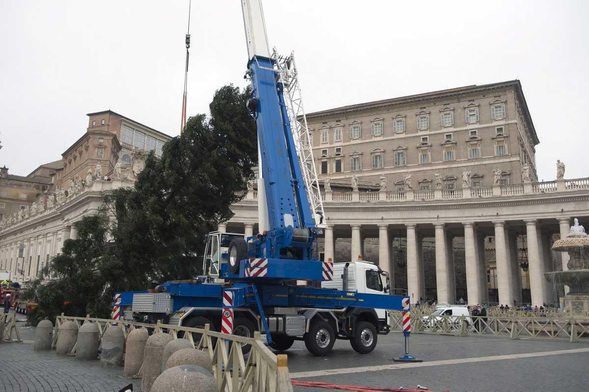 [Focus] - Le Vatican aura bien son arbre de Noël sur la place Saint-Pierre !