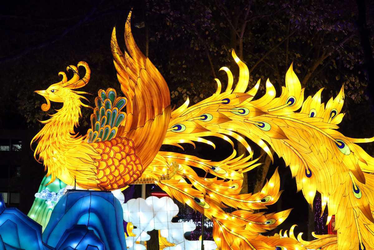 [Focus] - Le Festival des Lanternes de Chine est ouvert à Montauban