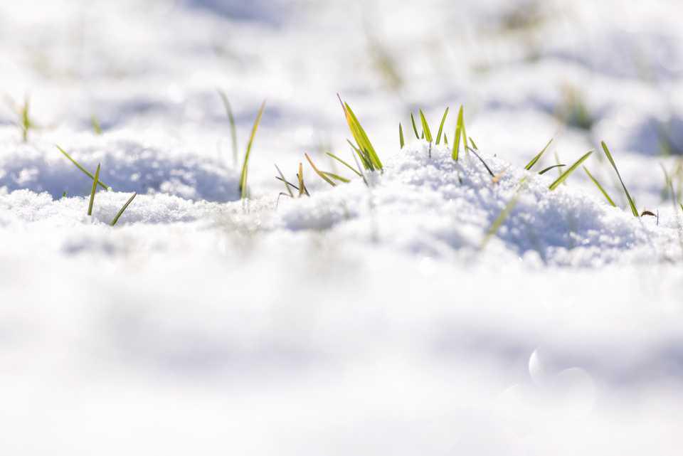 [Focus] - Les belles photos d'hiver ! Gla gla gla