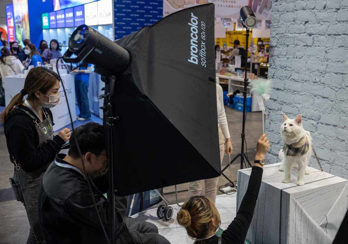 [Focus] - Le Hong Kong Pet Show ou le paradis des animaux de compagnie 