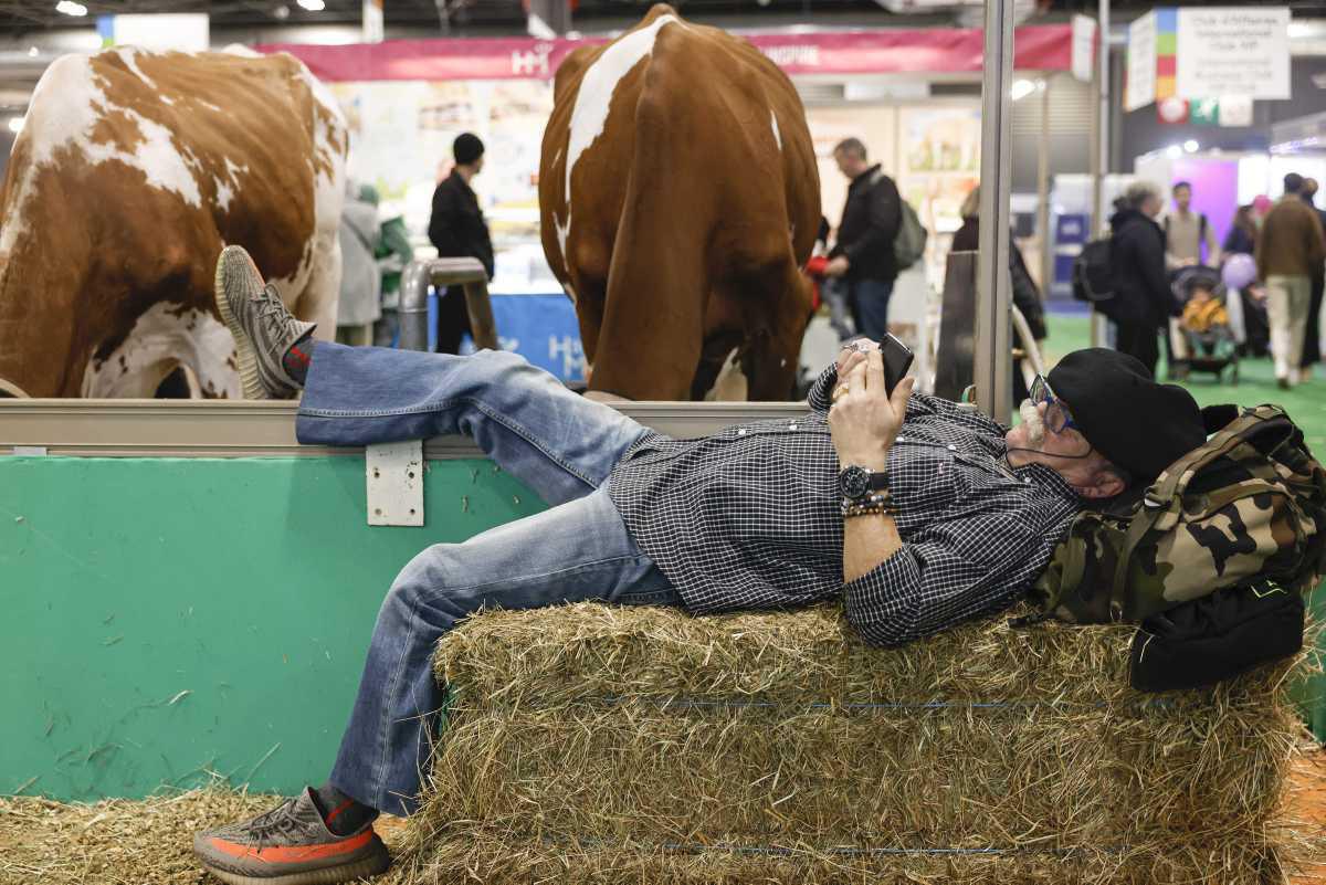 [Focus] 59e salon de l'agriculture à Paris : la plus grande ferme urbaine