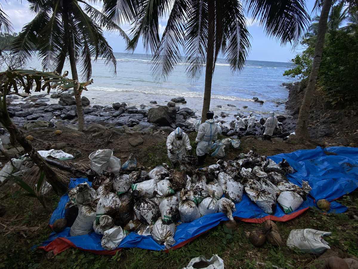 [Focus] - Marée noire aux Philippines : nettoyage des côtes sur l'île de Mindoro