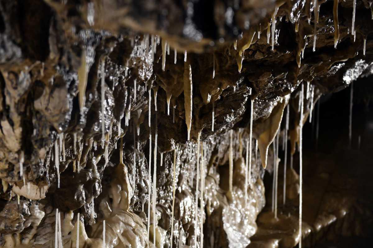 [Focus] - Les grottes de Vallorbe, parmi les plus belles d'Europe, abritent l'affinage du Vallgrotte 