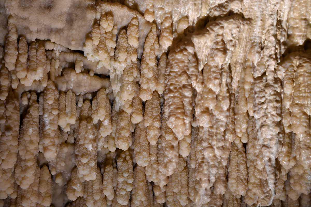 [Focus] - Les grottes de Vallorbe, parmi les plus belles d'Europe, abritent l'affinage du Vallgrotte 