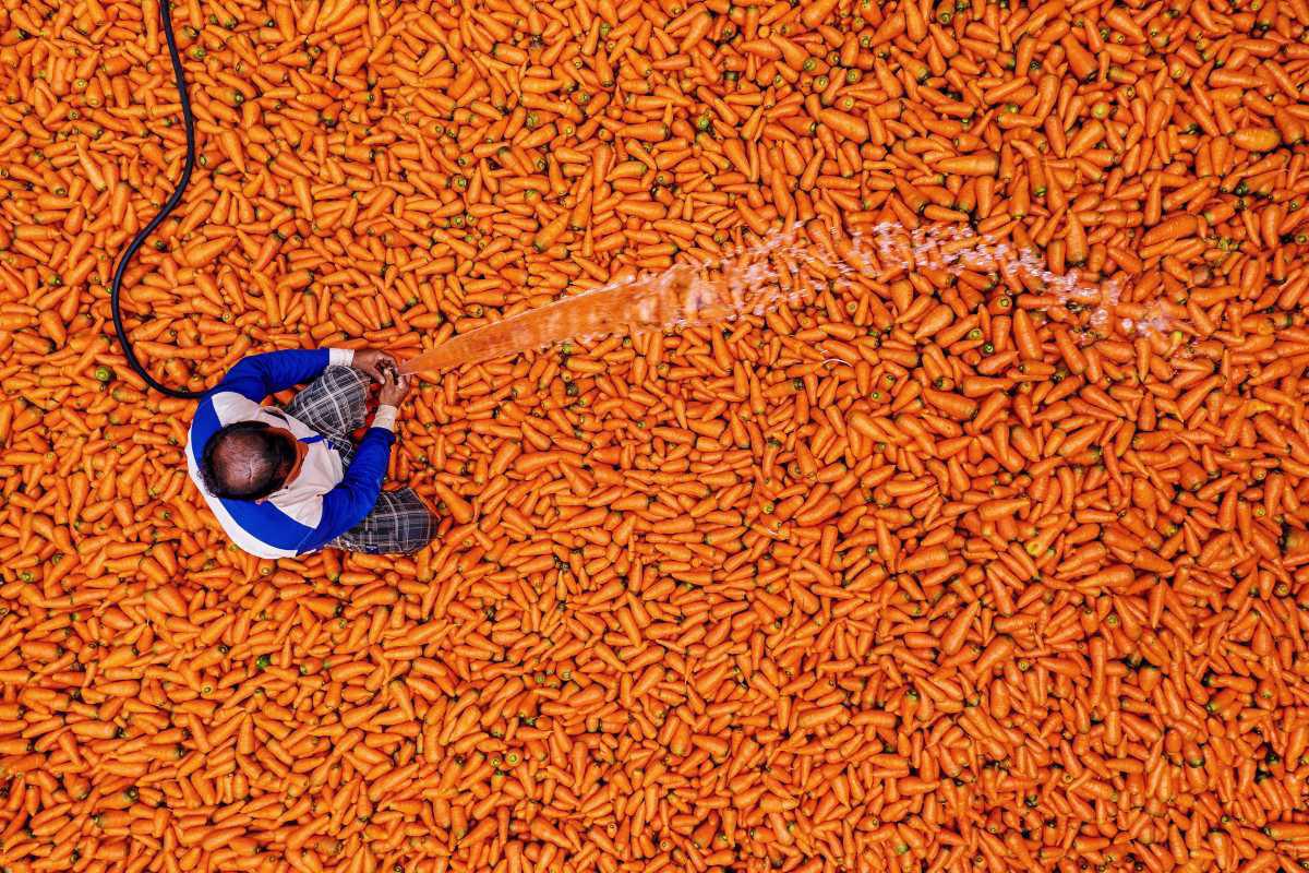 [Focus] - Palette colorée au marché de gros de Bogura, au Bangladesh