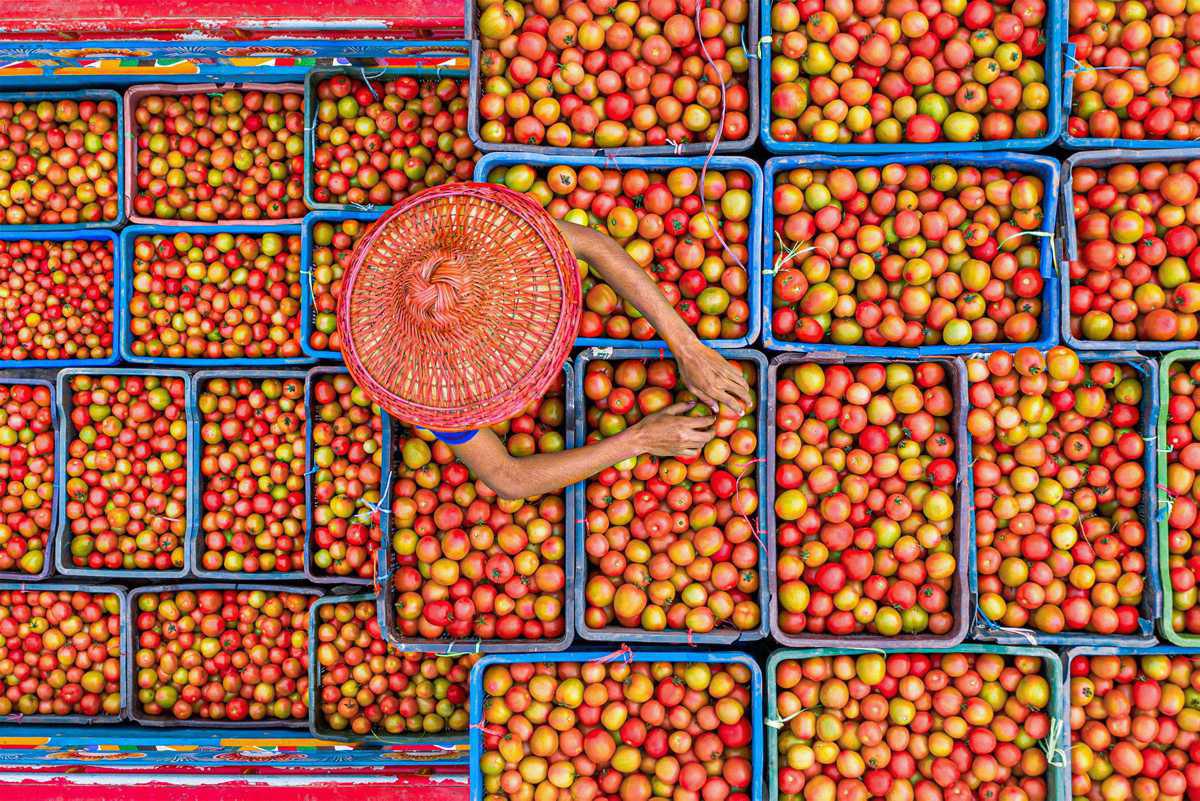 [Focus] - Palette colorée au marché de gros de Bogura, au Bangladesh