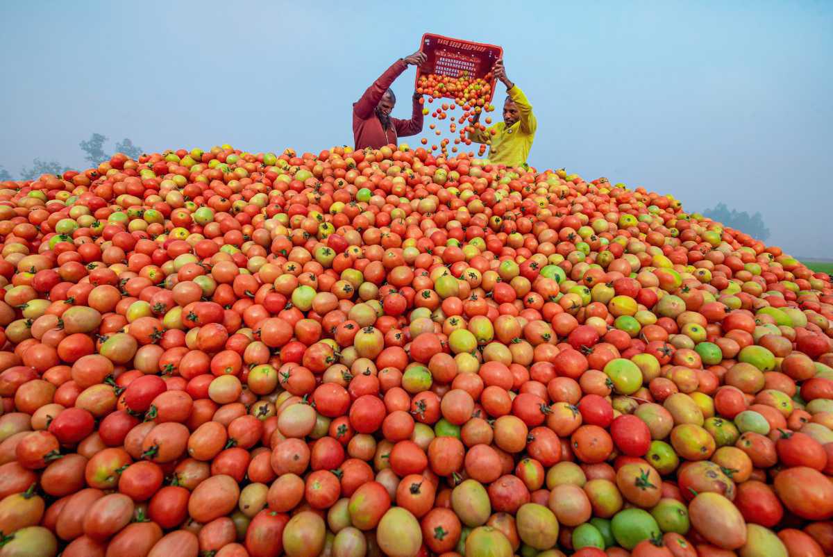 [Focus] - Palette colorée au marché de gros de Bogura, au Bangladesh