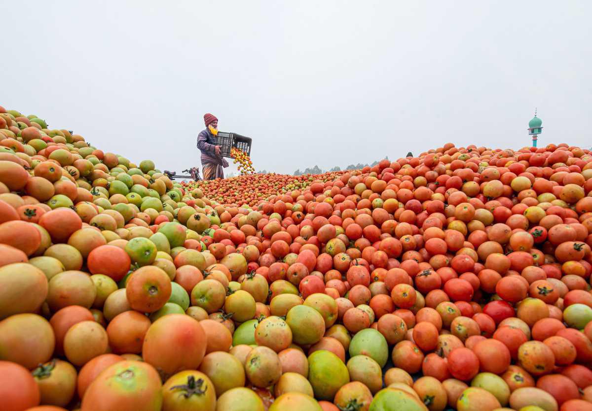 [Focus] - Palette colorée au marché de gros de Bogura, au Bangladesh