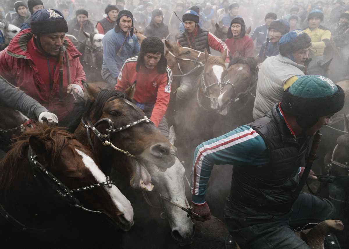 [Focus] - Kokpar au Kazakhstan - Un sport équestre millénaire