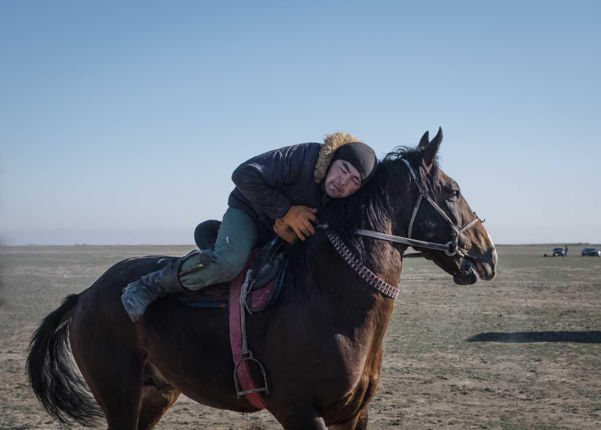 [Focus] - Kokpar au Kazakhstan - Un sport équestre millénaire