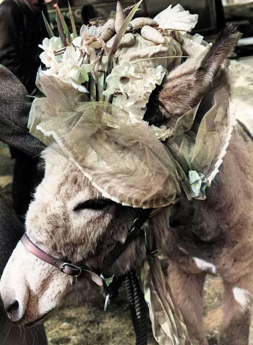 [Focus] - Pâques et ses chapeaux les plus fous pour fêter le printemps 