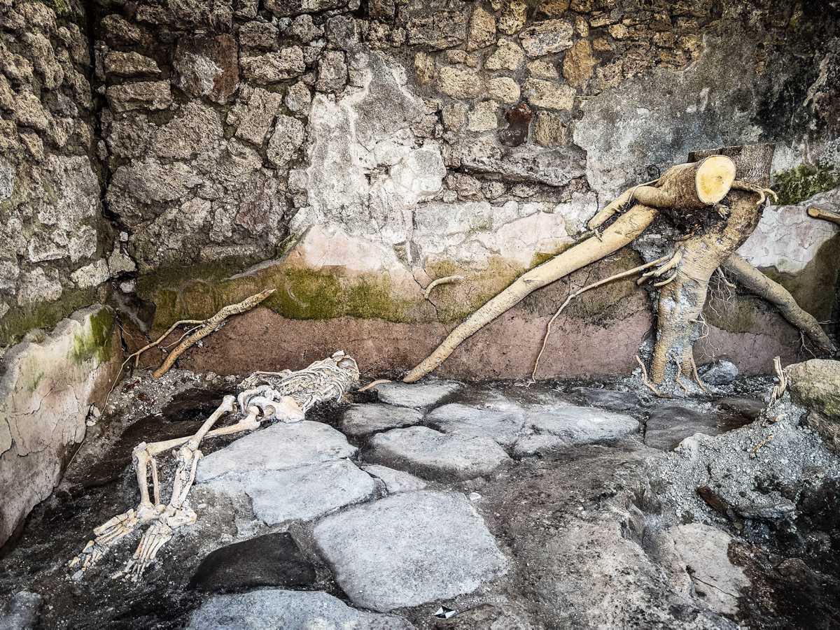 [Focus] - Pompei : Les restes de 3 victimes de l'éruption du Vésuve en 79 après JC retrouvés 
