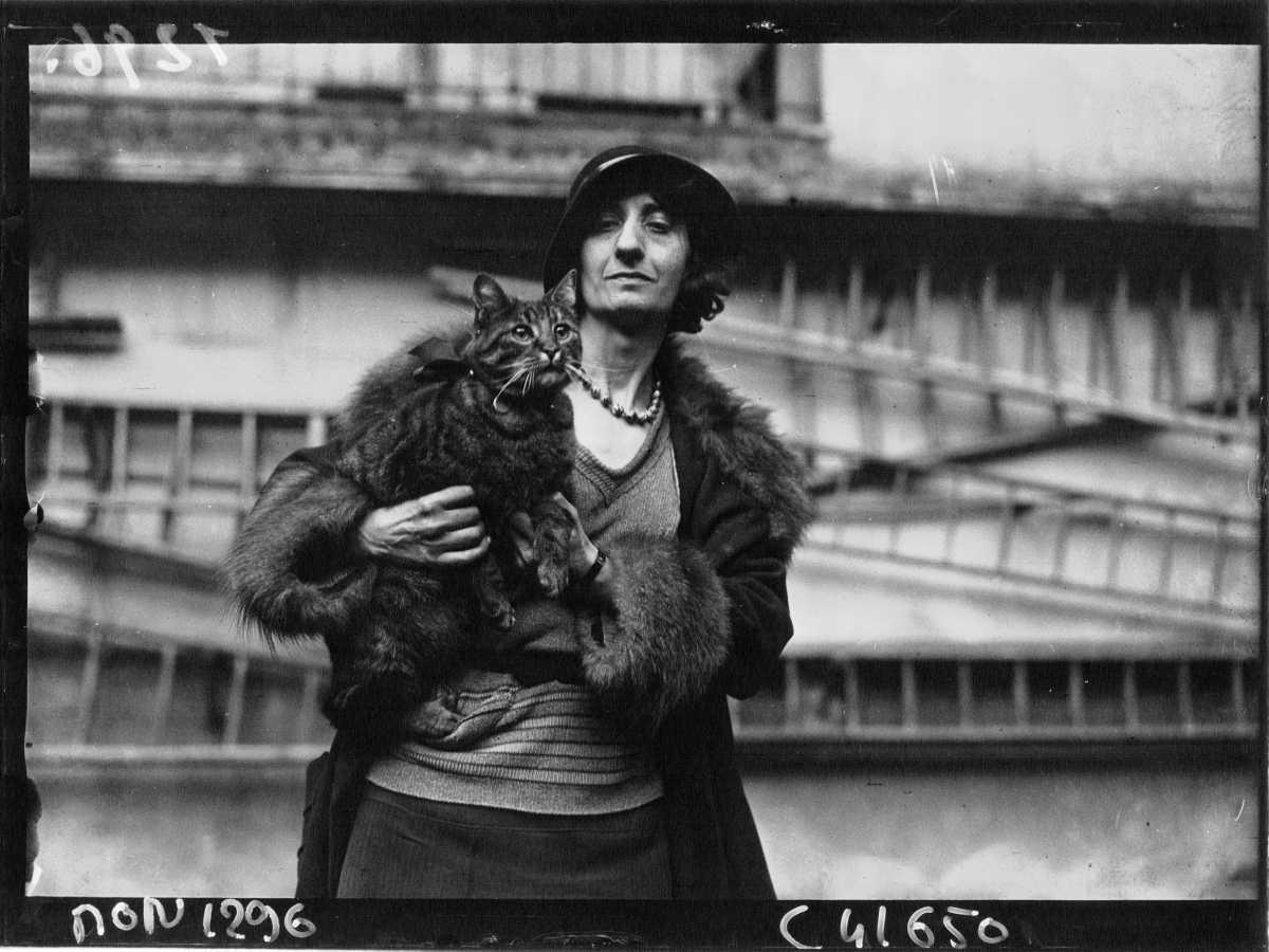 [Focus] - Journée internationale du chat, cette star des réseaux sociaux 