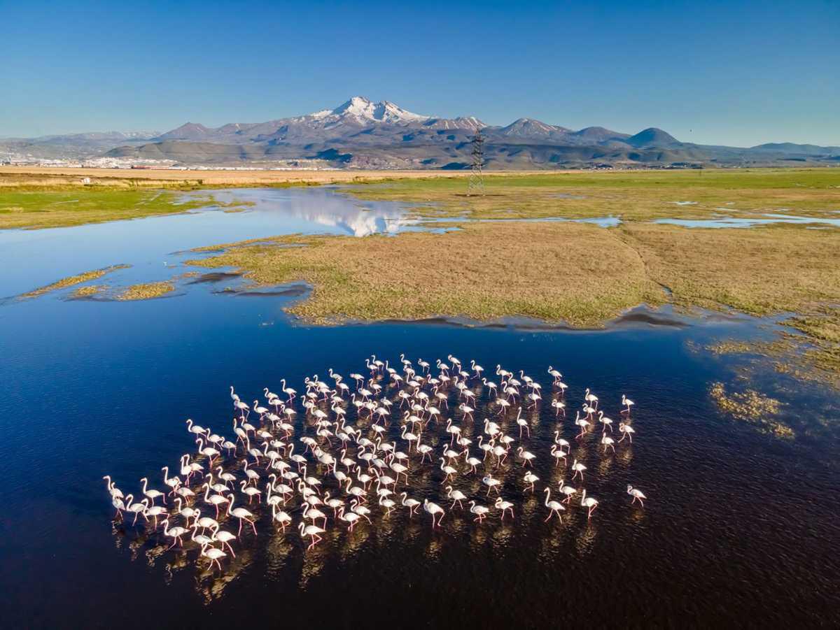 [Focus] - Drone Photo awards 2023 : le meilleur de la photographie aérienne 
