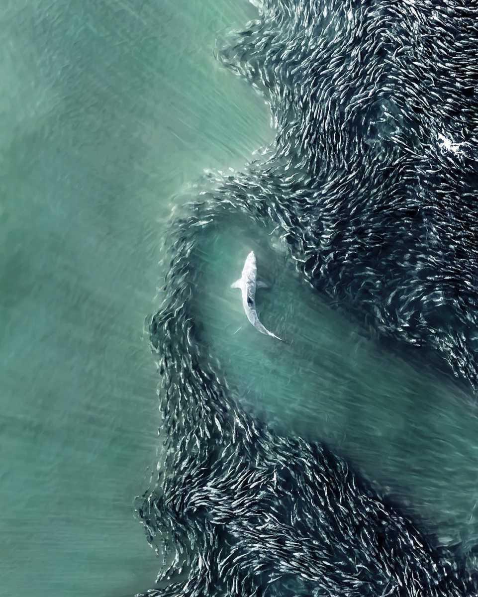 [Focus] - Drone Photo awards 2023 : le meilleur de la photographie aérienne 