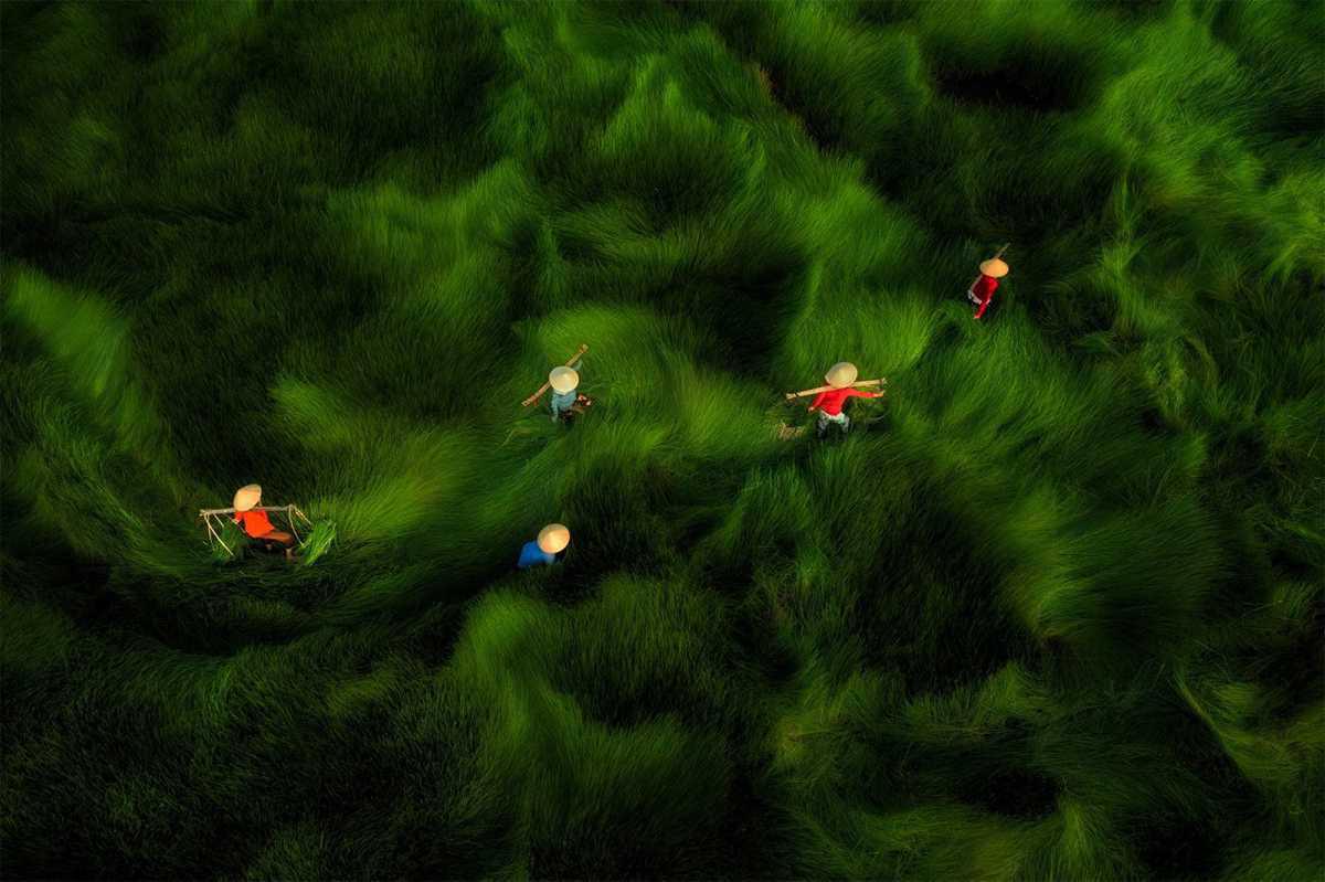 [Focus] - Drone Photo awards 2023 : le meilleur de la photographie aérienne 