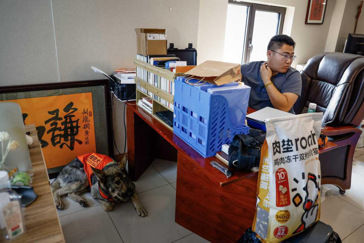 [Focus] - Détective animalier, un métier en plein essor en Chine 