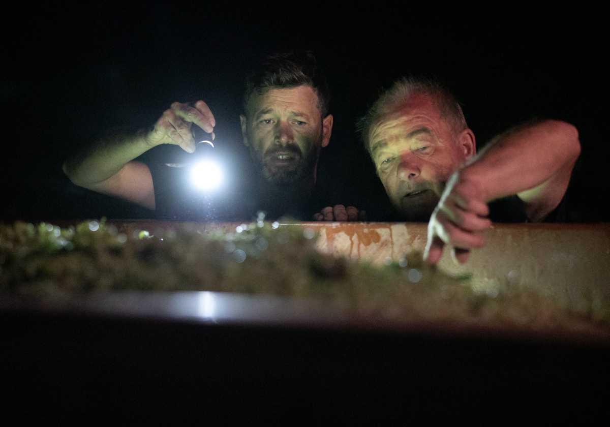 [Focus] - Nouvelle vague de canicule et des vendanges de nuit dans le Mâconnais