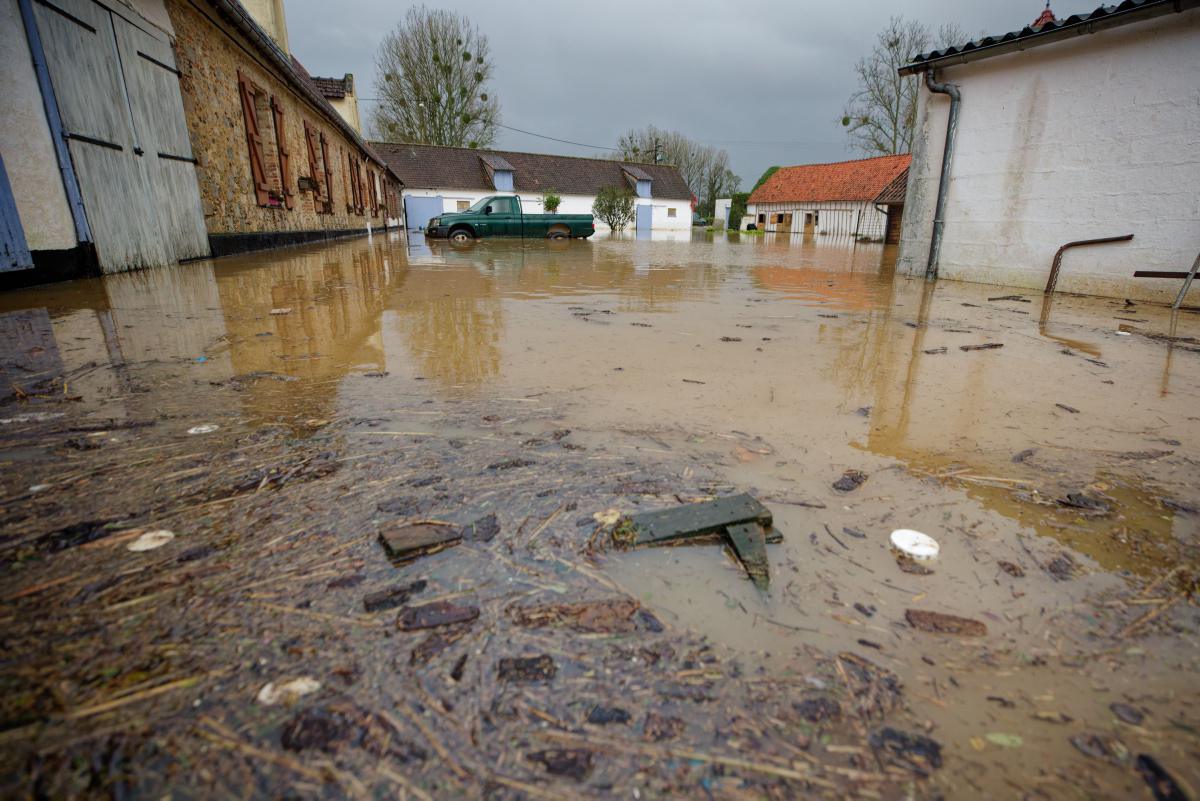 [Focus] - Inondations dans le Pas de Calais : les animaux en grand danger aussi