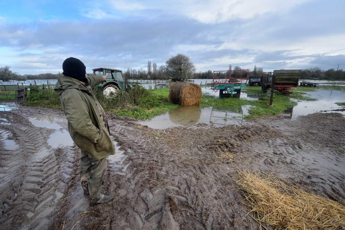 [Focus] - Inondations dans le Pas de Calais : les animaux en grand danger aussi