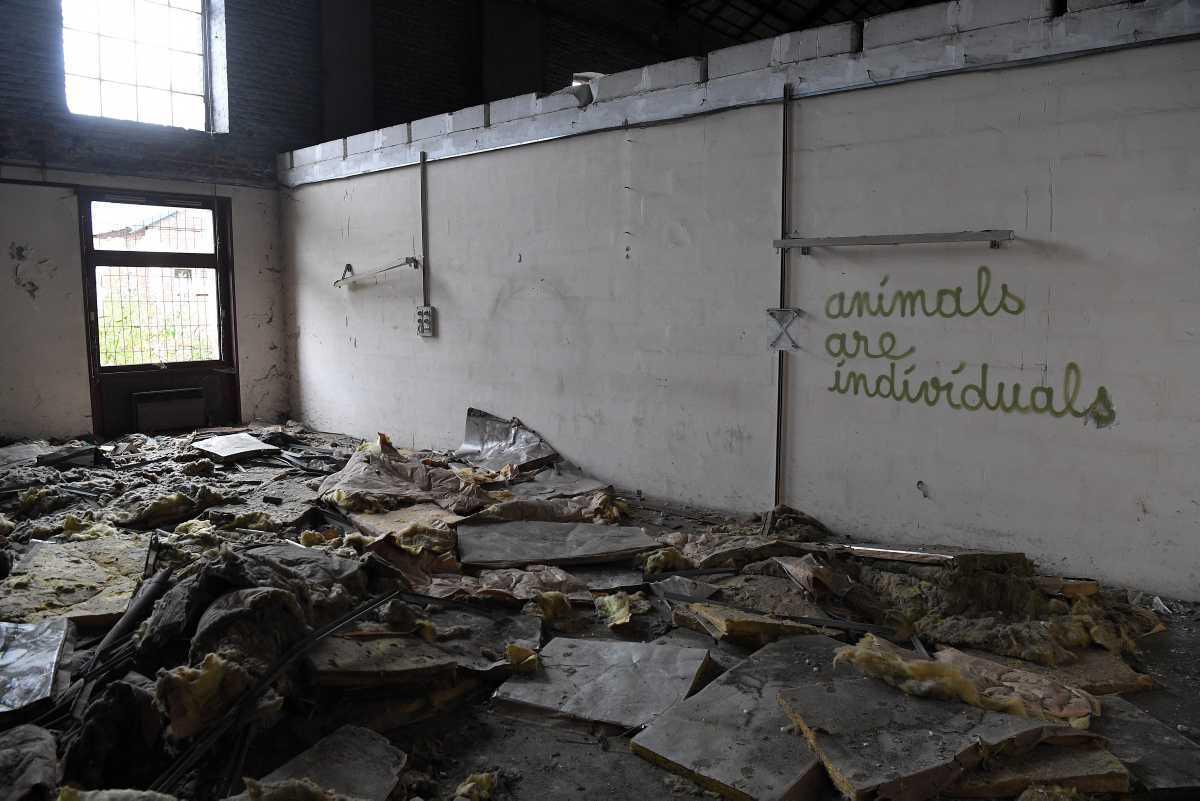 [Focus] - L'Urbex, l'Exploration Urbaine qui Dévoile les lieux Oubliés 