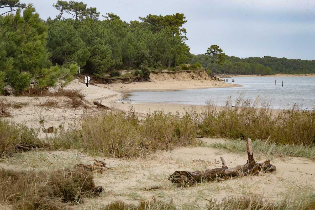  [Focus] - "Érosion Accélérée sur l'Île d'Oléron : La Pointe de Gatseau en Péril"