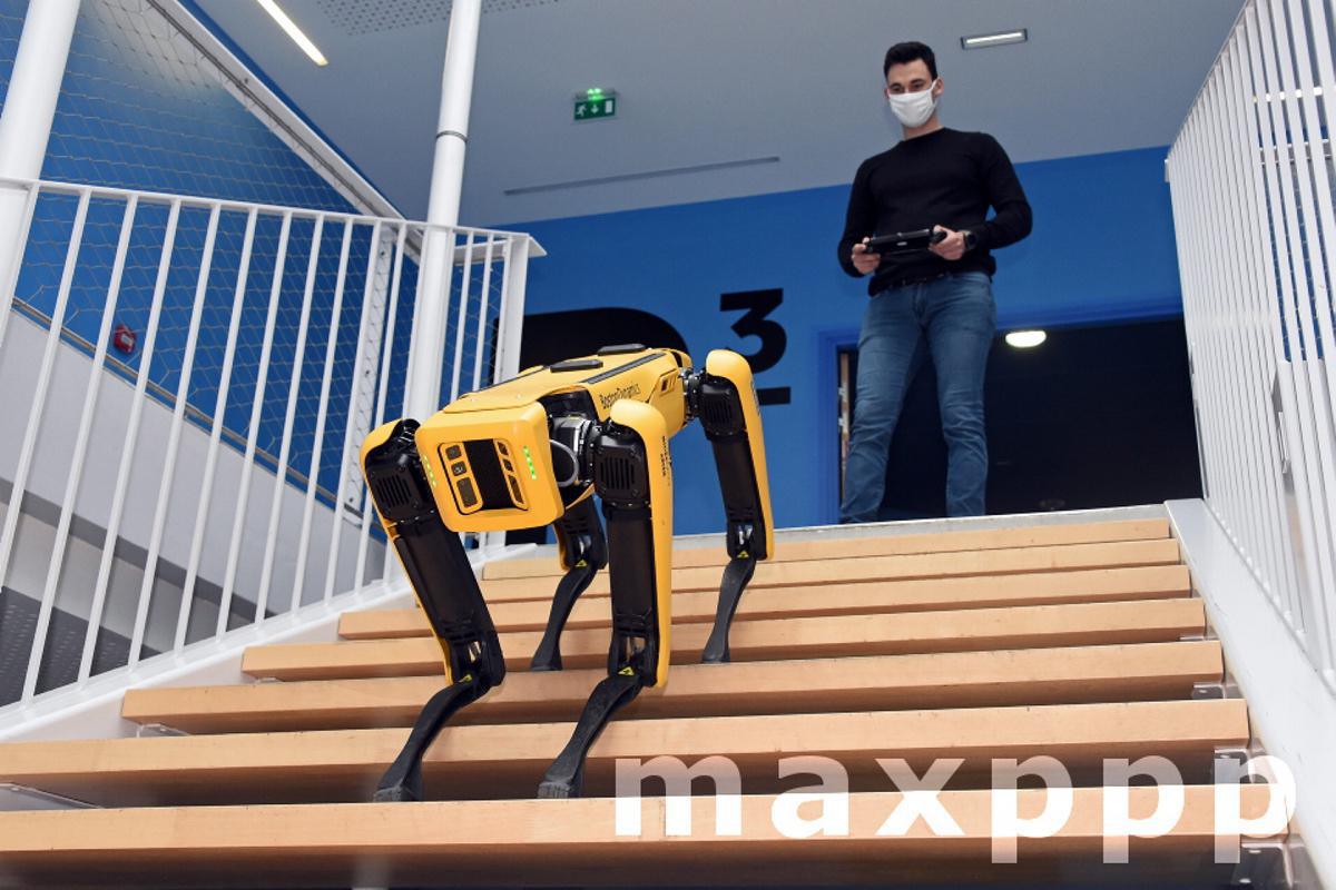 Mines Nancy adopte Scar, le chien robot qui obéit au doigt et à l'œil