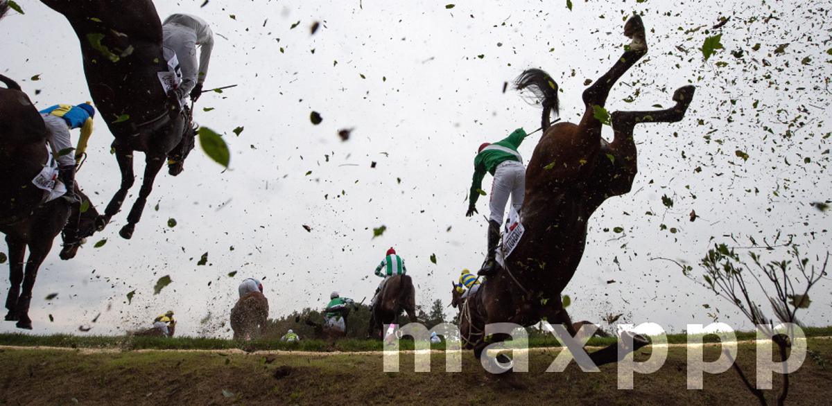 Czech Horseracing