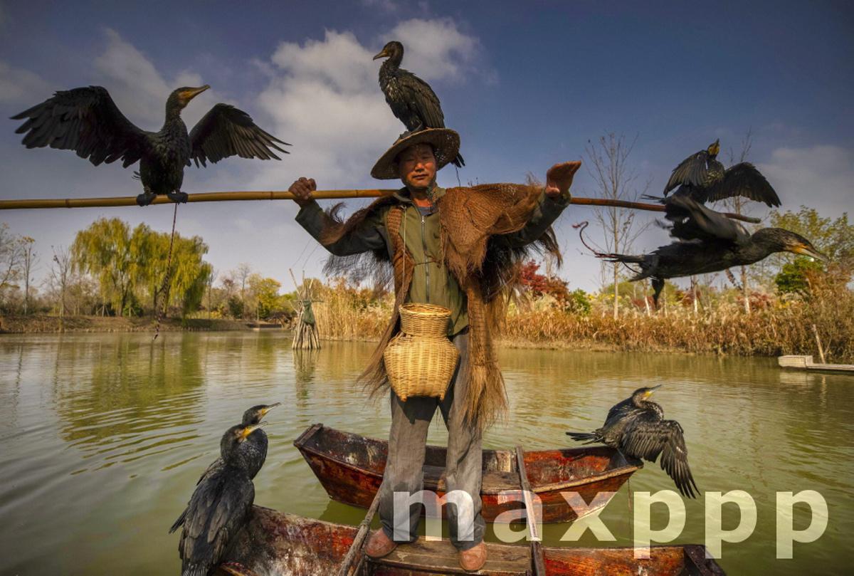 Hongze Lake Wetland in China