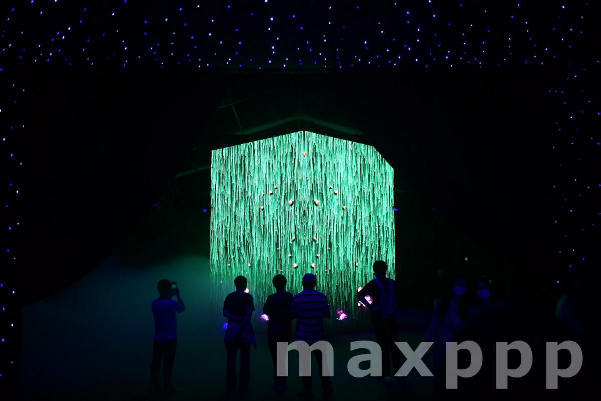 2020 Guangzhou International Light Festival