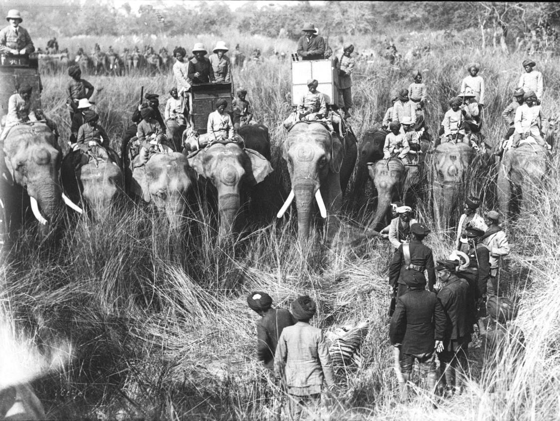Chasse du roi George V en 1912