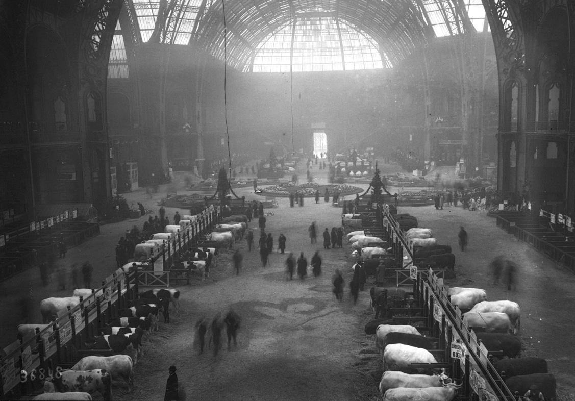 1914 - Concours agricole
