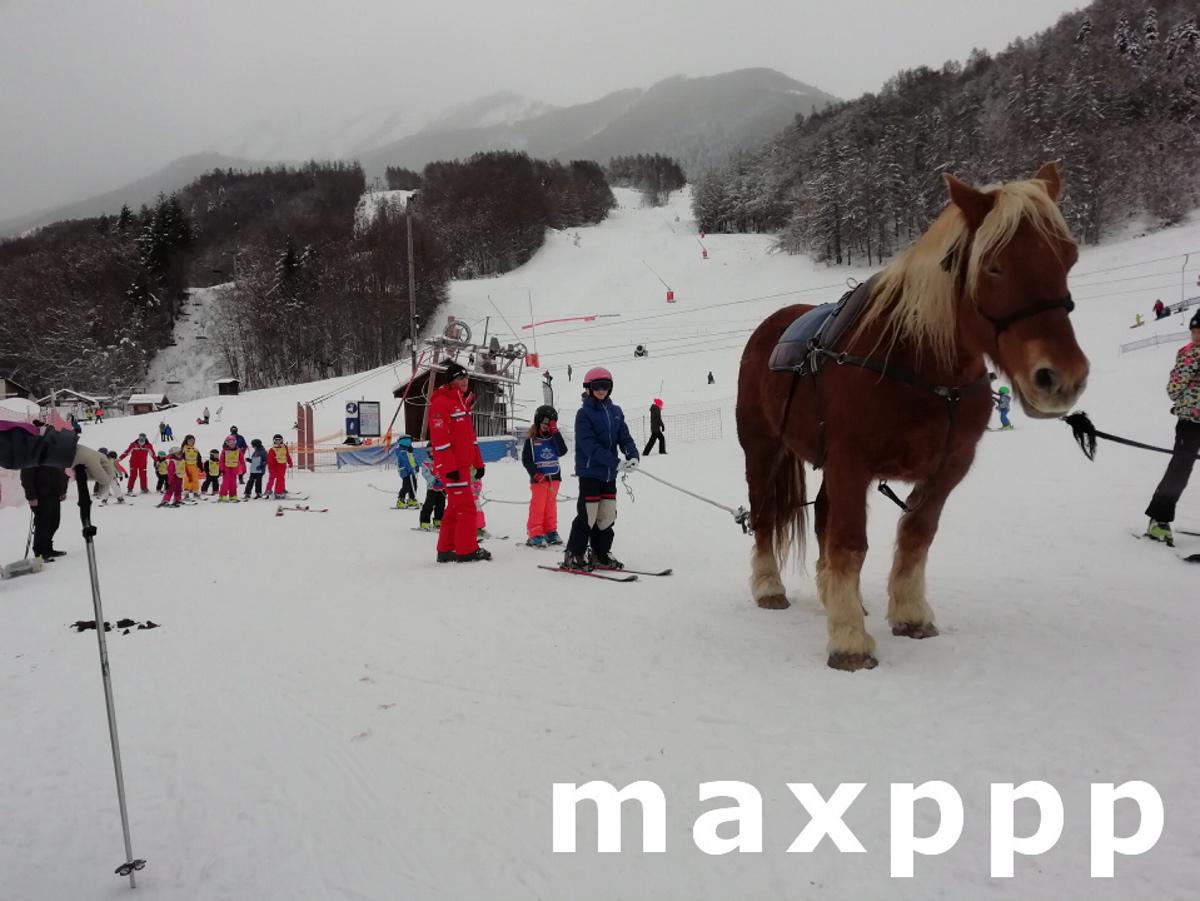 Saint-Léger-les-Mélèzes cours de ski traction animale