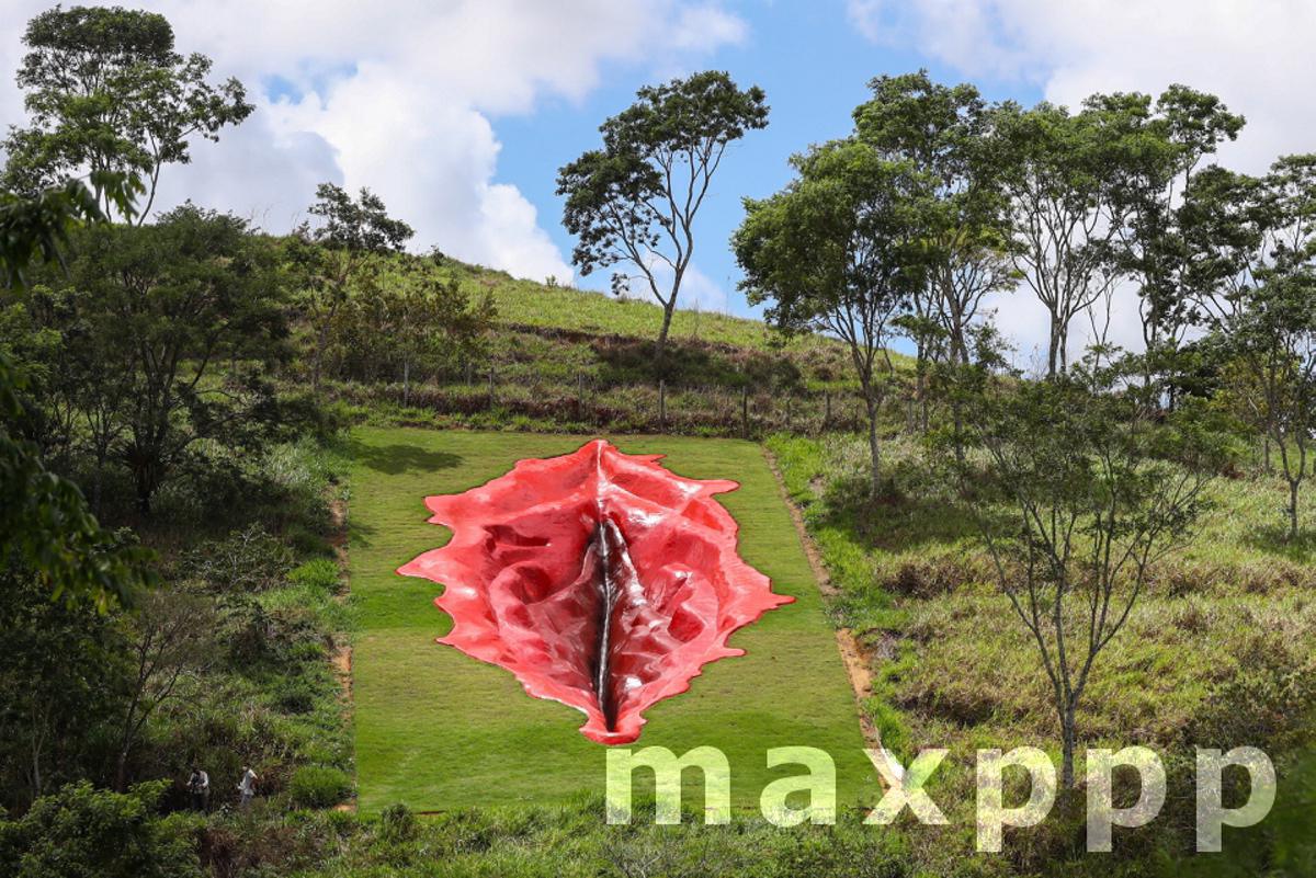 Sculpture of vulva sparks controversy in Brazil