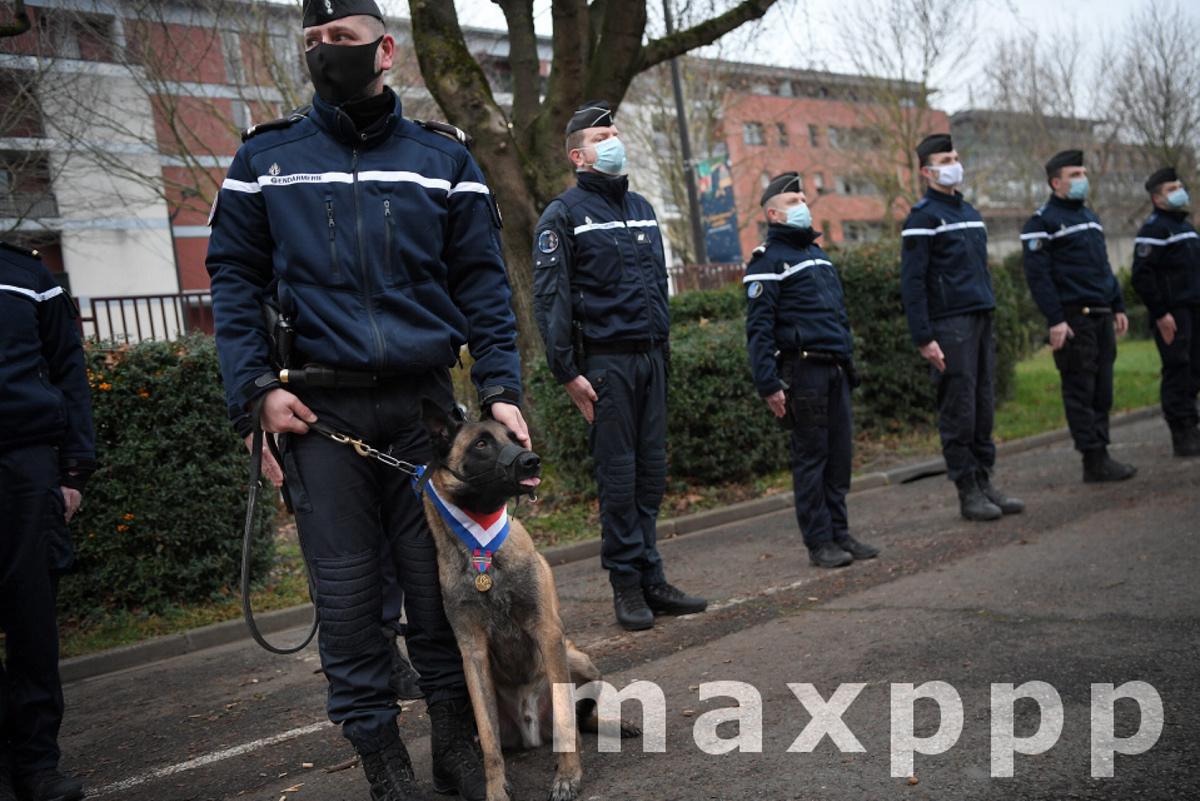 Décoration d'un chien gendarmerie