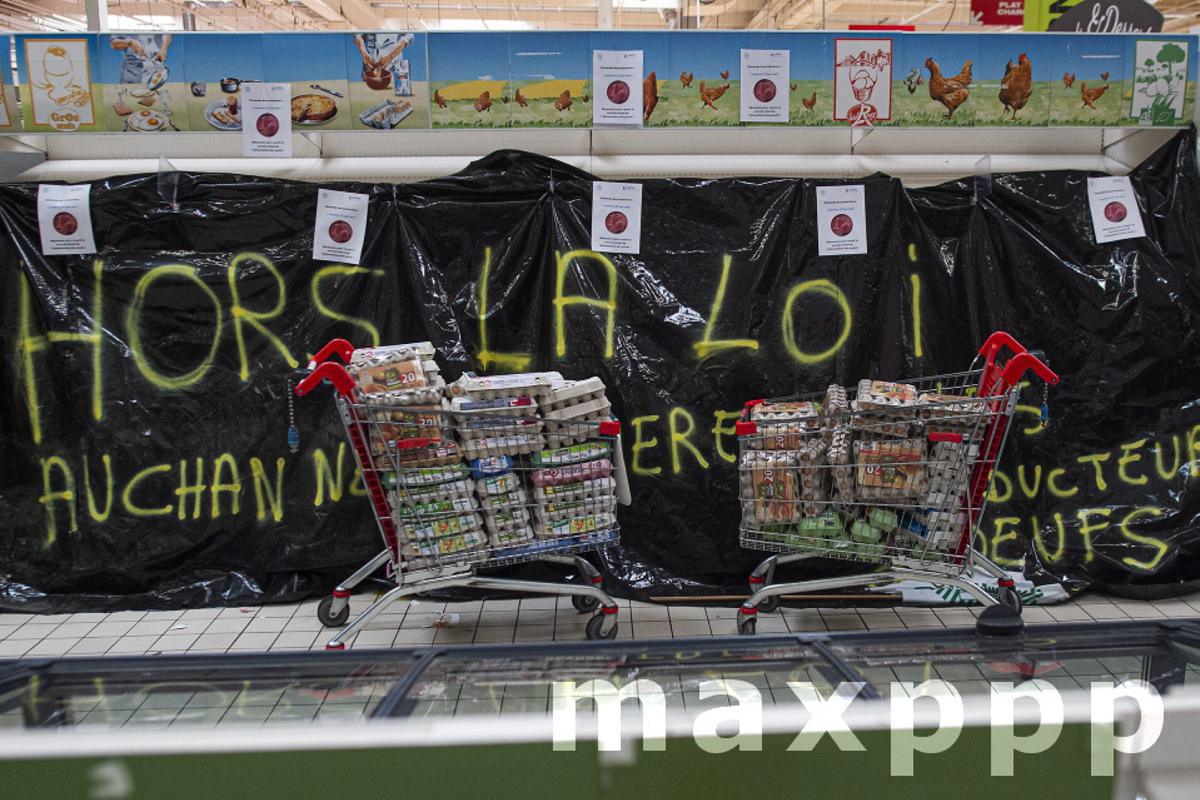 ACTION FNSEA AUCHAN