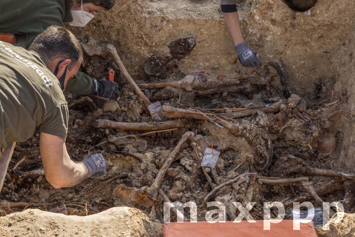 Exhumation Of Franco Victims In Mallorca