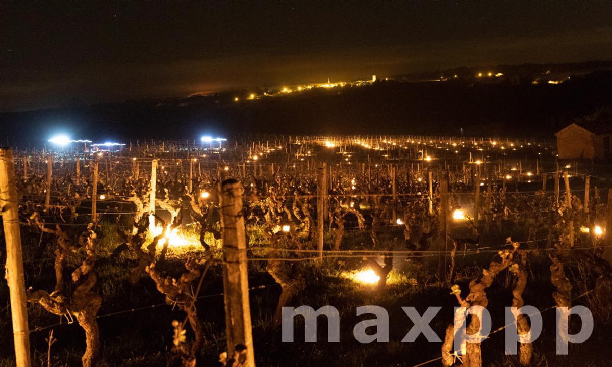 Lutte contre le gel dans le vignoble bordelais
