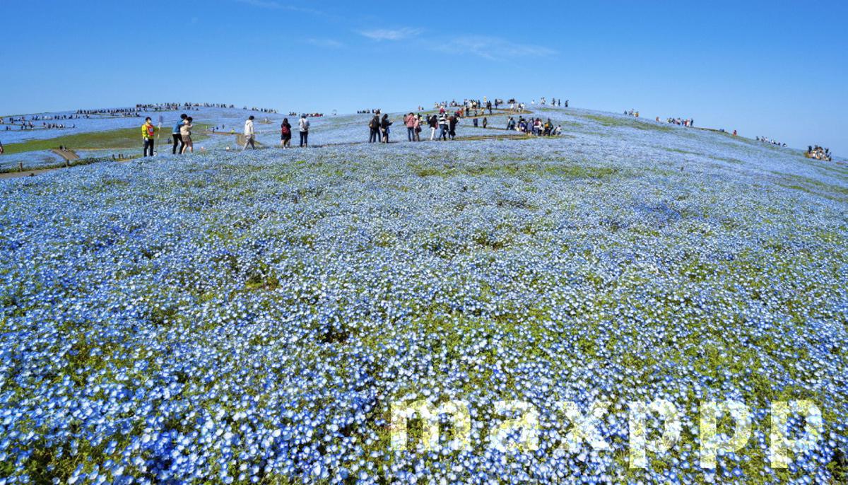 Seaside park in eastern Japan