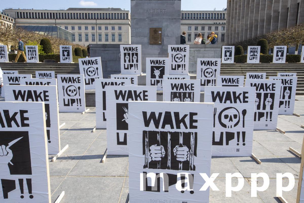 Brussels action wake up Belgium