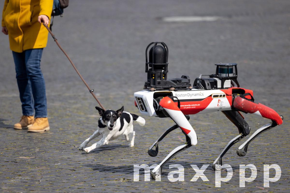 Presentation of a robot of the security service provider Ciborius