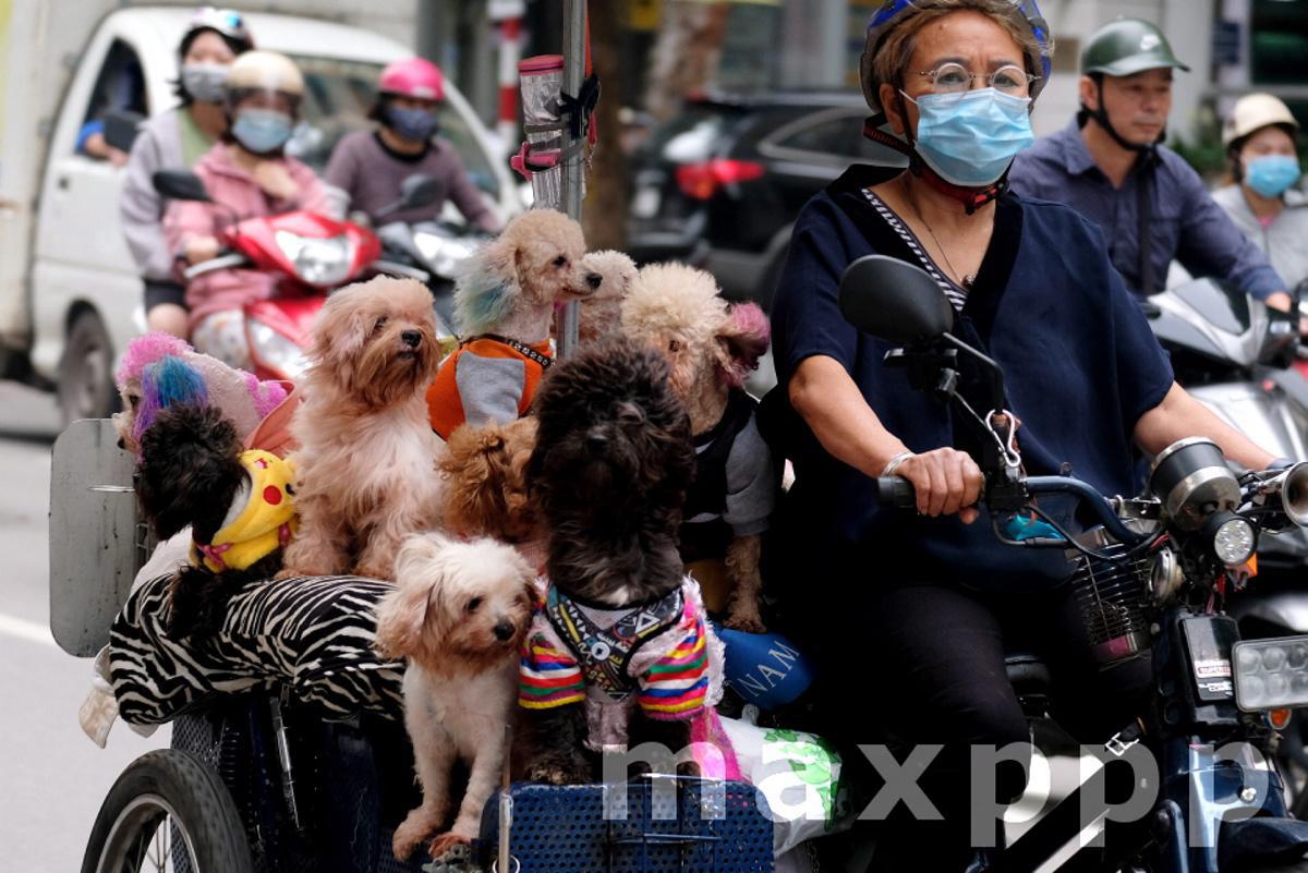 Daily life amid coronavirus pandemic in Vietnam