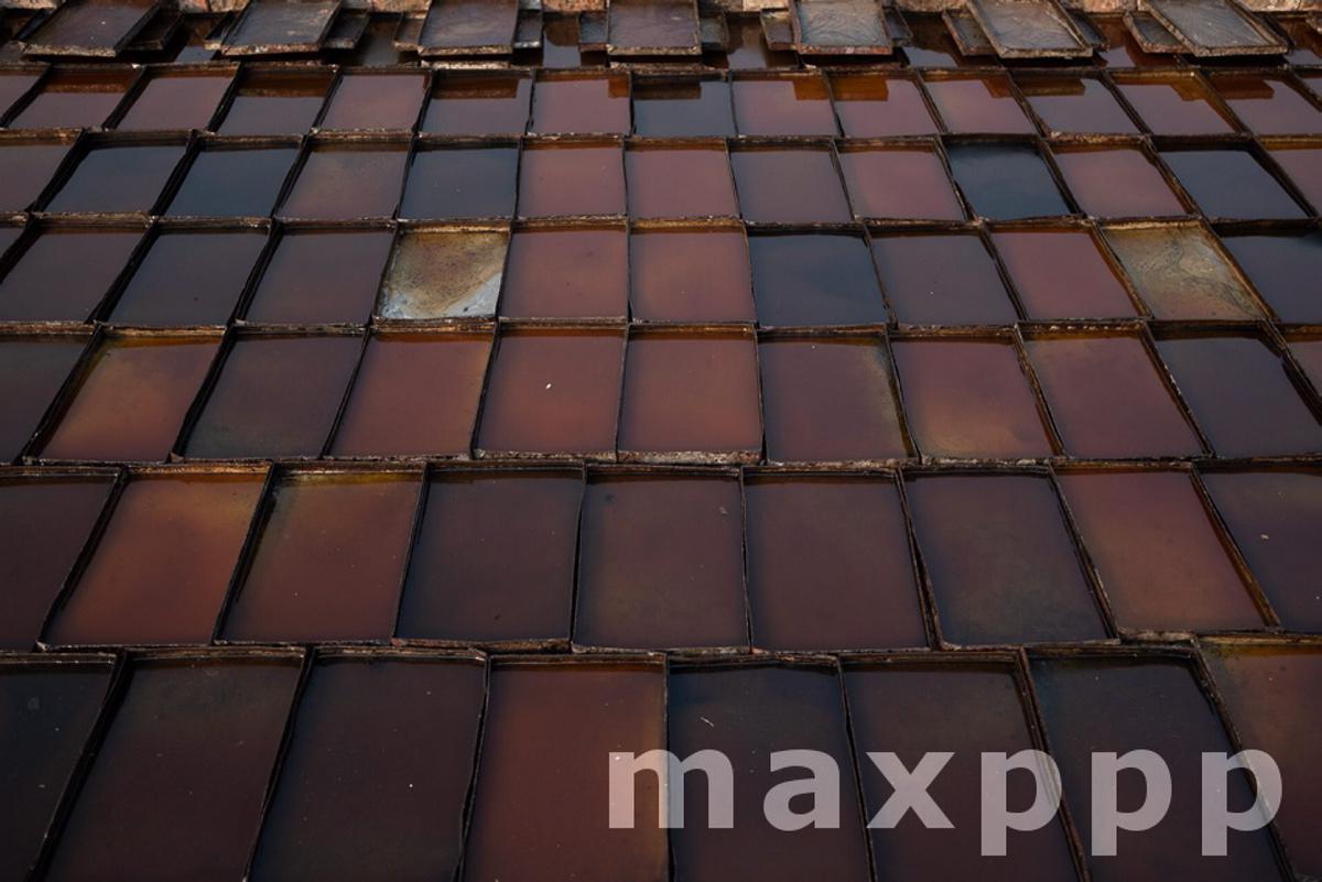 Leather Tannery Industry In Bangladesh