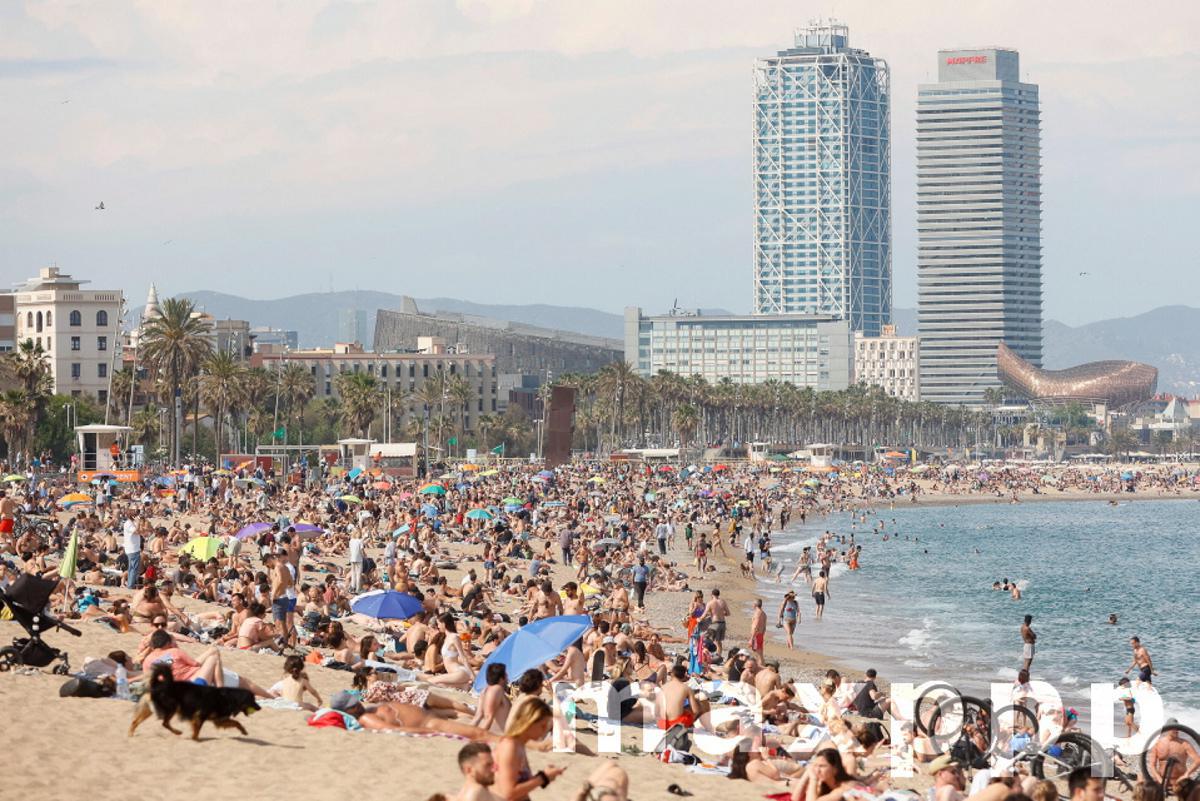 Sunny day in Barcelona