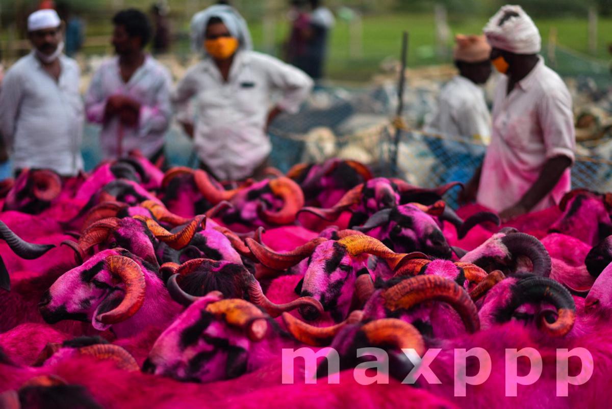Eid Al-Adha preperation in India