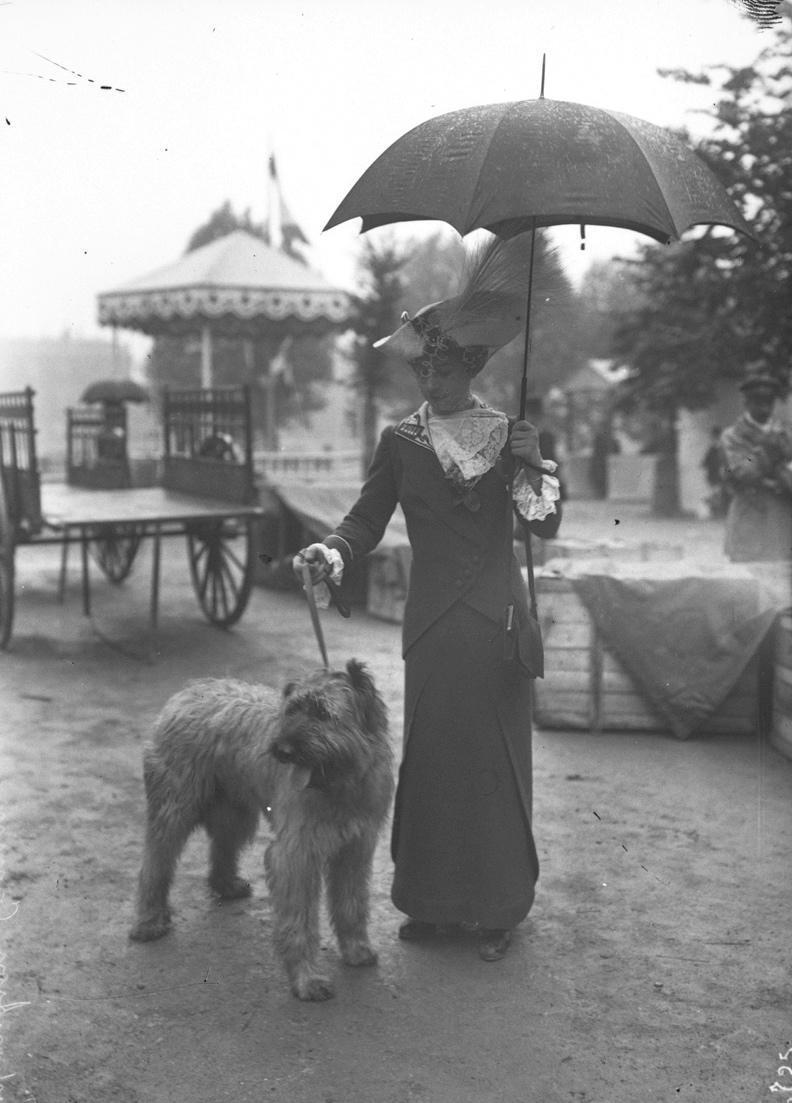 Journée Mondiale du Chien