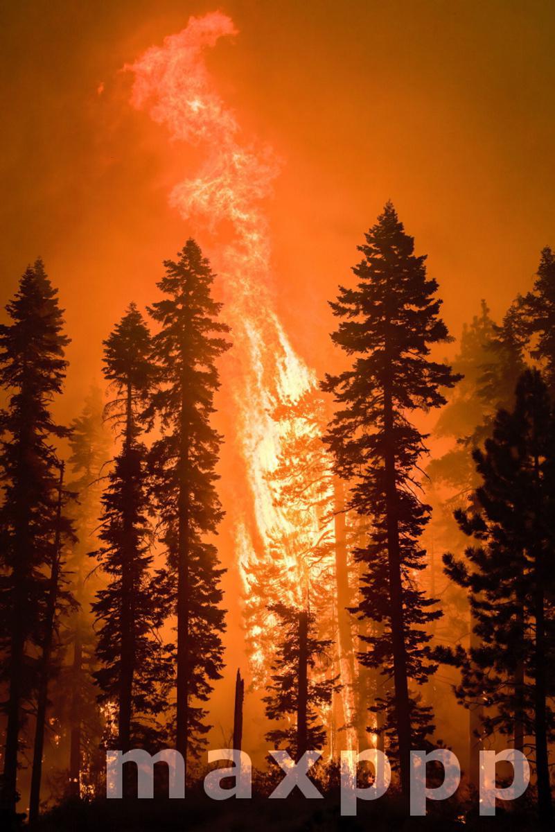 Devastating Caldor Fire continues in California